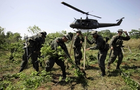 Kolumbijští vojáci likvidují políčka koky. 