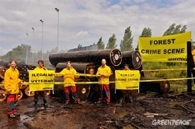 Důkaz. Aktivisté Greenpeace v objektu dýhárny v Horních Počaplech.