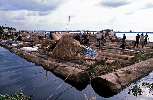 Dolů po veletoku. Přeprava vytěženého dřeva po řece Kongo.