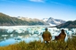 Medvědí jezero, národní park Kena Fjords, Aljaška, USA. (Foto: Profimedia.cz)