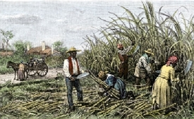 Otroci na plantáži na americkém jihu.