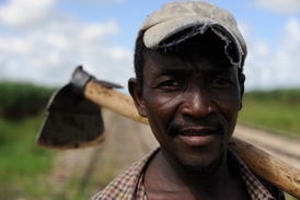 Novodobé formy otroctví. Haitský dělník na plantážích sousední Dominikánské republiky.