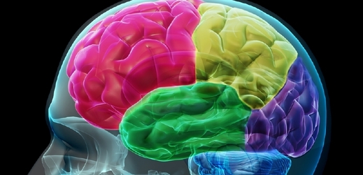 Mozek se učí závislosti na kokainu extrémně rychle (ilustrační foto).