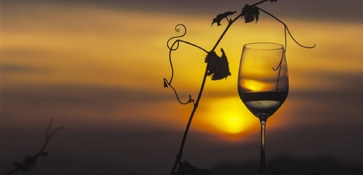 Od 6. do 8. září proběhne Pálavské vinobraní.