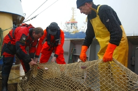 Faerští rybáři mají utrum s dovozem ryb do EU (ilustrační foto).