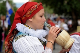 Ze Slováckých slavností vína v Uherském hradišti.