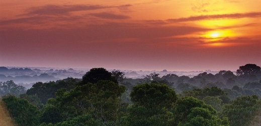 ědci našli na západě Amazonie stopy po dávném osídlení (ilustrační foto).