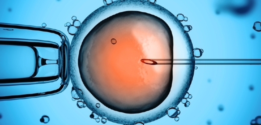Ročně se v ČR ze zhruba 100 tisíc novorozenců narodí 3000 díky metodám asistované reprodukce (ilustrační foto).