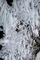 Čtvrtý nejvyšší vodopád v Kanadě měřící 141 metrů byl zdolán sportovcem Timem Emmettem. Autor snímku Christian Pondella popisuje toto fotografování jako jedno z nejnebezpečnějších ve svém životě. Zmrzlé kusy se mohou každou chvíli uvolnit a každý z nich může klidně vážit jako automobil.