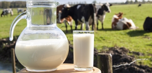 Hlavním důvodem růstu cen je celosvětově zvýšená poptávka po mlékárenských výrobcích a jejich rostoucí spotřeba (ilustrační foto).