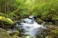 Vodopád Torc, národní park Killarney. (Foto: Profimedia.cz)