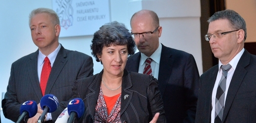 Zástupci ČSSD v čele s Alenou Gajdůškovou