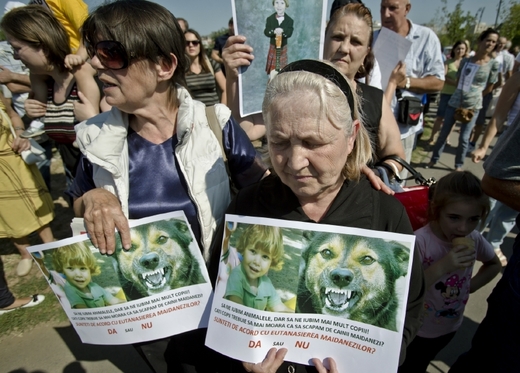 Protes po zybití čtyřletého chlapce toulavými psi v Bukurešti.