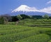 Hora Fudži a národní park Fudži-Hakone.Izu. (Foto: Profimedia.cz)