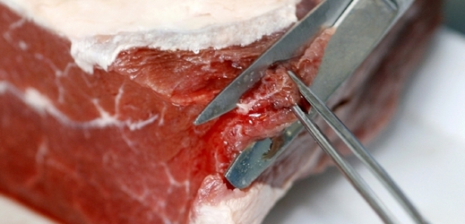 Neprověřené maso je volně k dostání na  českém trhu.