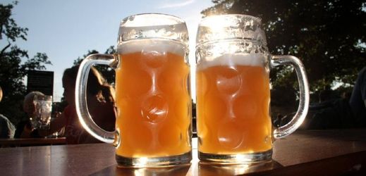 Mezi světlými ležáky se letos o první místo podělila piva Starobrno a Litovel Premium.