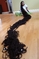Nejdelšími dredy se může pyšnit Asha Mandela z Georgie. Její vlasy měří téměř 17 metrů a jsou delší než autobus. (Foto: Profimedia.cz)