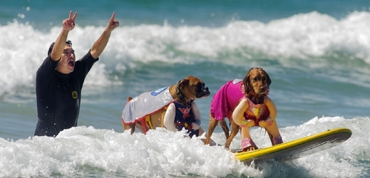 Surf City Surf Dog 2013.