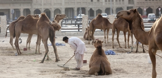 Dělníci v Kataru pracují v hrozných podmínkách.
