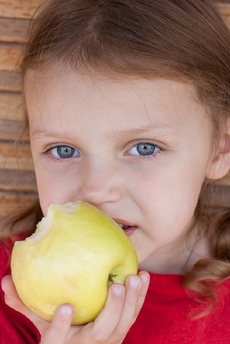 Podle odborníků si jablka zaslouží větší pozornost konzumentů, obsahují dlouhý seznam prospěšných látek (ilustrační foto).