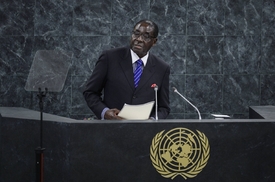 Prezident Robert Mugabe sám neumí vysvětlit, co obnáší funkce, kterou zřídil.