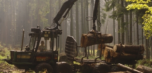 Lesy České republiky mohou žalovat stát o náhradu újmy způsobené omezením těžby dřeva na území rezervací.