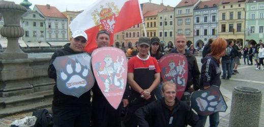 Čeští lvi na demonstraci v Českých Budějovicích.