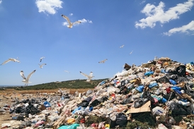 Plastové tašky znečišťují moře, pobřeží a celou přírodu.