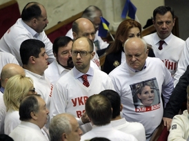 Někteří příznivci Tymošenkové v ukrajinském parlamentu mají třička s jejím portrétem.