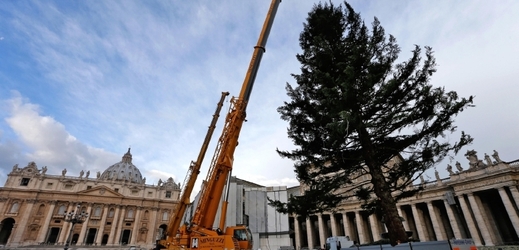 Loni pocházel vánoční strom na Svatopeterském náměstí z Itálie.