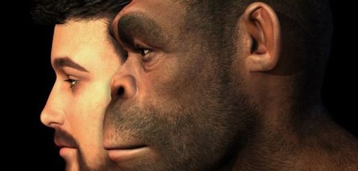 Neandertálci měli větší nosy.