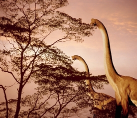 Zátiší s Brachiosaury. Zátiší s Brachiosaury.