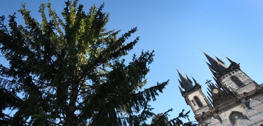 Na Staroměstském náměstí již stojí tradiční vánoční stromek.
