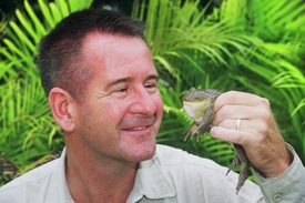 Žába nazvaná "Budgett’s frog", jejíž tělo připomíná želé. Žába nazvaná "Budgett’s frog", jejíž tělo připomíná želé.