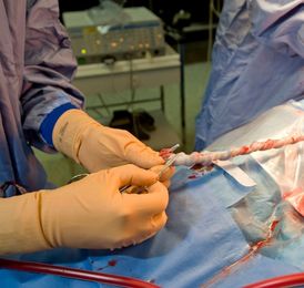 Odběrných míst je v republice více, samotná transplantace pak probíhá ve Fakultní nemocnici v Motole (ilustrační foto).