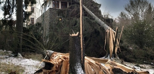 Dvě desítky popadaných stromů i výpadek proudu v jedné z obcí na Jesenicku má na svědomí silný vítr.