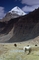 Mount Kailas, Himaláj, Tibet. (Foto: Profimedia.cz/Galen Rowell/Corbis)