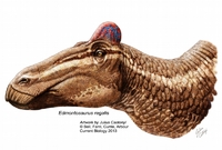 Edmontosaurus asi vypadal jinak, než si paleontologové mysleli.