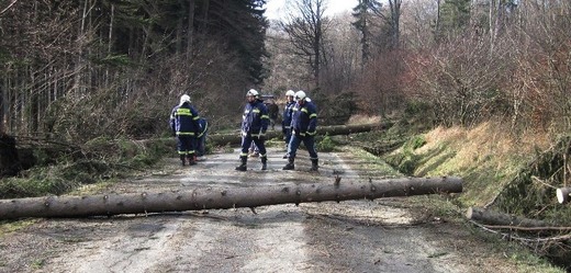 Hasiči ve Zlínském kraji vyjížděli k desítce případů větrných škod.