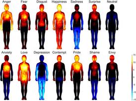 Oblasti těla, jejichž aktivita stoupala (teplé barvy) nebo naopak klesala (studené barvy) při různých emocích. Zleva doprava: hněv, strach, nechuť, štěstí, smutek, překvapení, neutrální stav, úzkost, láska, deprese, opovržení, pýcha, hanba, závist.