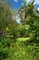 Botanické zahrady Andromeda, St. Joseph, Barbados. (Foto: Profimedia.cz)