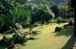 Seychelská Národní botanická zahrada, Mahé, Seychelská republika. (Foto: Profimedia.cz)