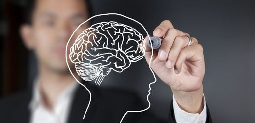 Francouzští lékaři potřebují nové mozky na výzkum (ilustrační foto).