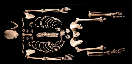 Stáří kostry označované jako La Braña 1 odhadují vědci na 7 940 až 7 960 let.