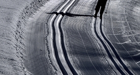 Na dostihovém závodišti v Chuchli otevřeli běžkařský ovál (ilustrační foto).