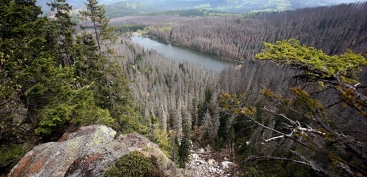 Součástí Národního parku Šumava je i ledovcové Plešné jezero.