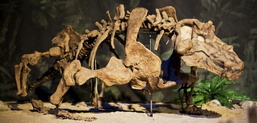 Z výstavy Dinosarium.
