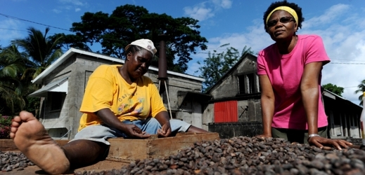 Cena kakaa v uplynulém roce vzrostla o více než dvacet procent. 