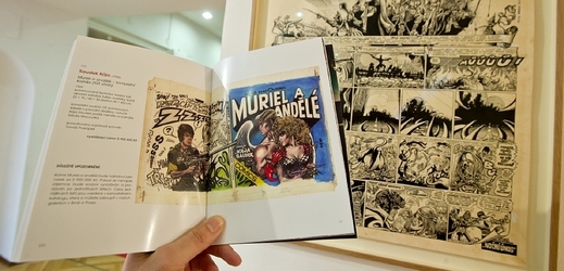 Policie zabavila komiks na základě trestního oznámení v pražském Topičově salonu, kde mělo být dílo vystaveno a za několik dní vydraženo.