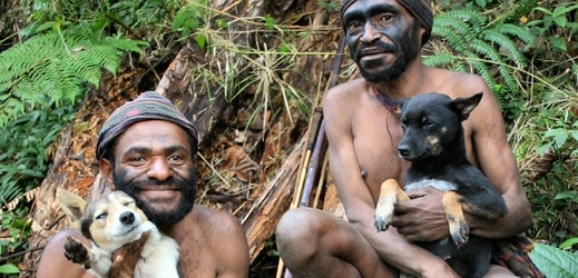 V Papui Nové Guinei je pes posvátným zvířetem. 